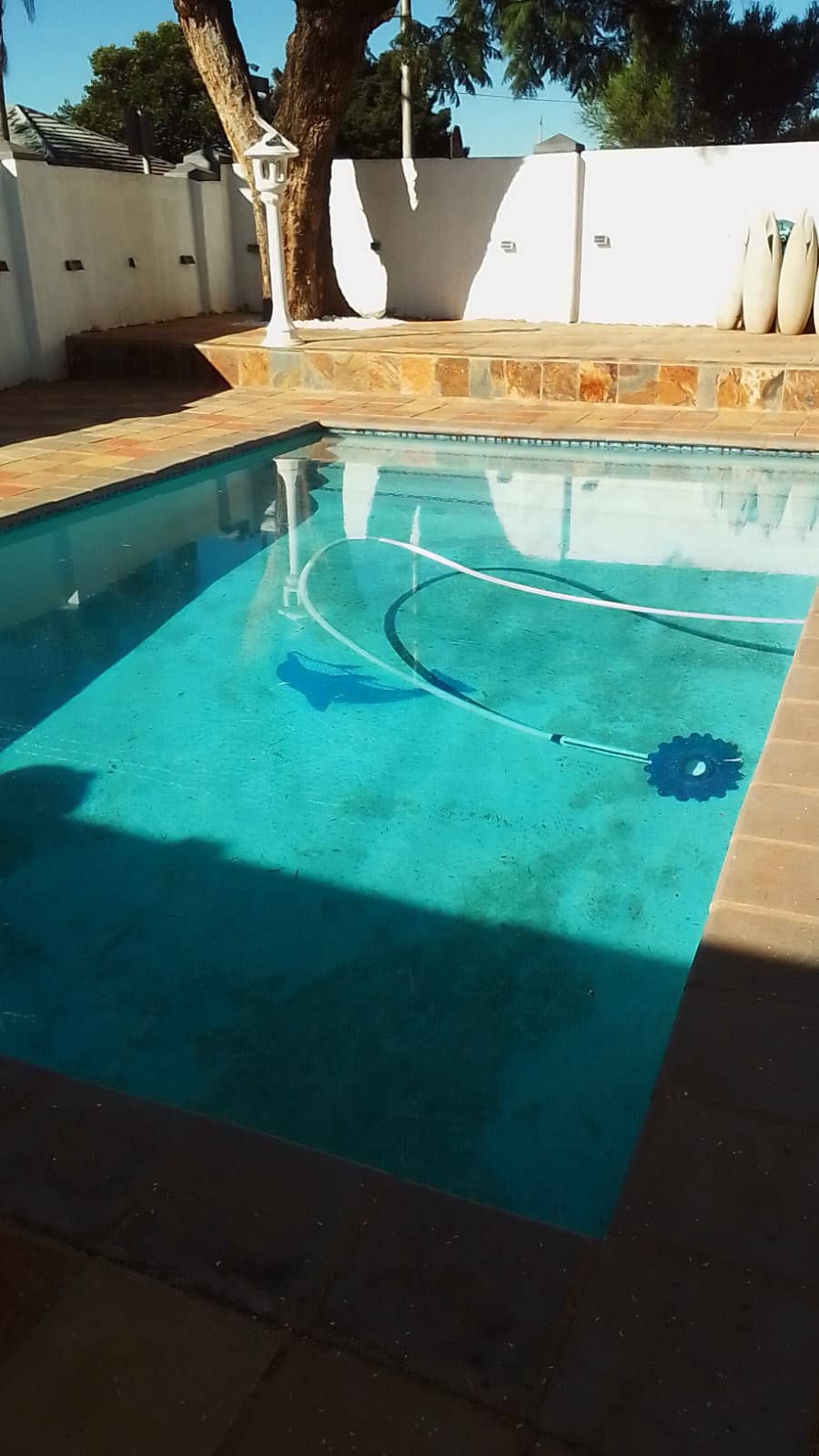 Swimming pool Area